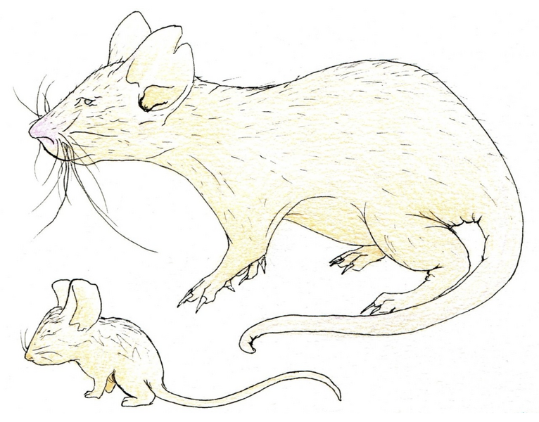 File:Screenshot 2025-11-24 at 8.58.17 PM.png